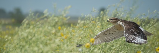 (c) 2014 Brian Zinchuk Publishing