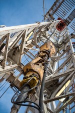 Panther2-7456-1920px